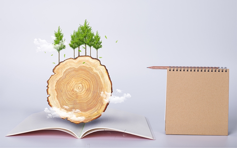 關(guān)于紙的知識(shí)，你平時(shí)知多少